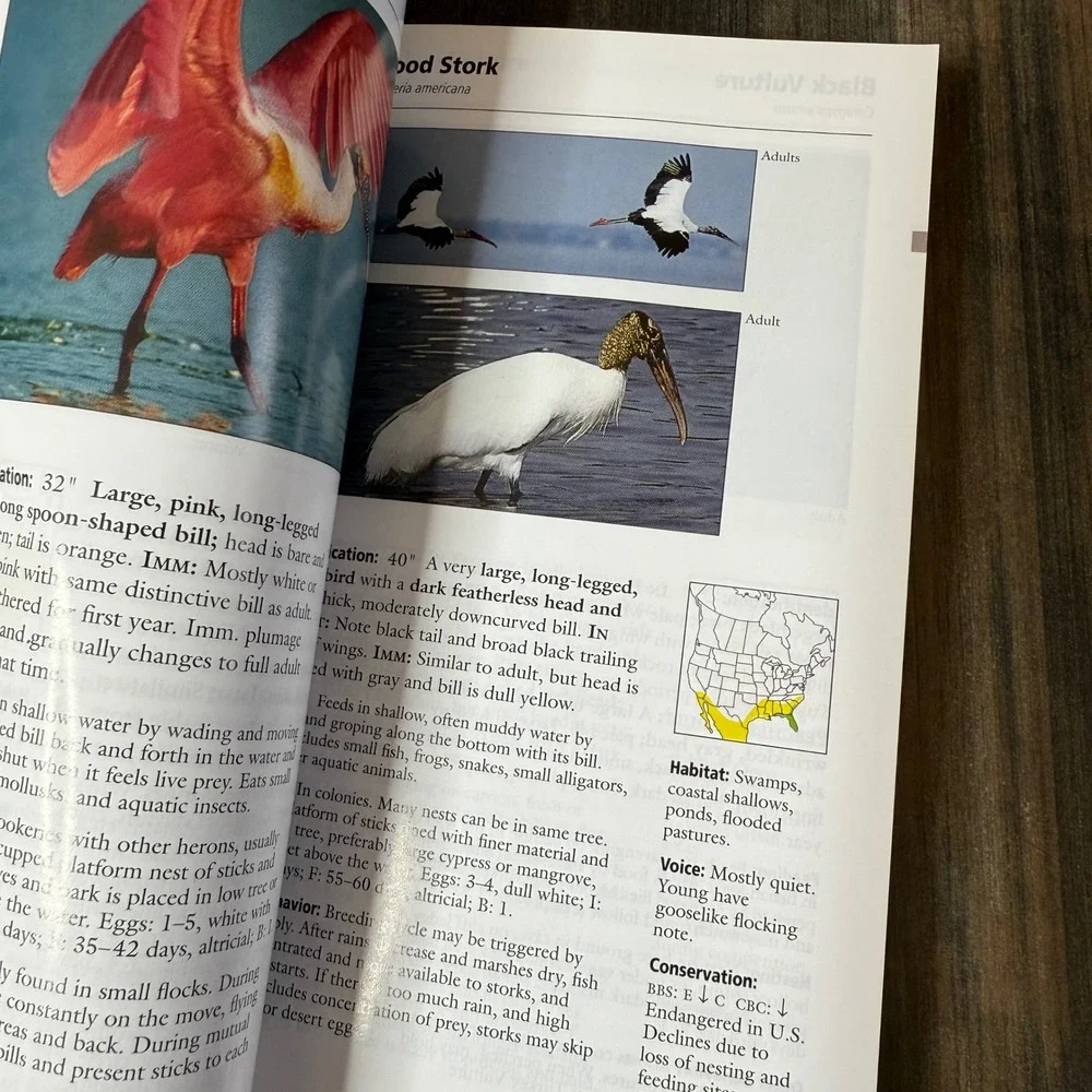Stokes Field Guide to Birds Eastern Region‎ Wildlife Identification Book